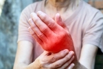Foods for Inflammation, Foods for Inflammation breaking, magical indian superfoods to fight inflammation, Olive oil