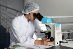 Indians studying MBBS abroad, mbbs in foreign countries, why indians with foreign mbbs fail to get licensed in home country, Quora