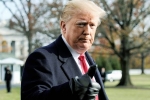 United States, democracy, former u s senators warn of constitutional crisis under trump, 2016 presidential campaign