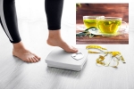 Green Tea for Weight loss latest tips, Green Tea for Weight loss breaking news, can consuming green tea really help in weight loss, Skin care