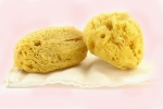 synthetic menstrual sponge, sea sponge uses, gynecologist warns women against using sea sponges as reusable nurturing alternatives to tampons, Celine