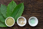 healthy living, kratom, this pain treating herbal supplement is not safe for use, Kratom