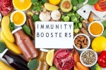 Immunity Tips articles, Immunity Tips articles, interesting science backed tips to feel your best, Maintain relationship Immunity Tips articles, Immunity Tips articles, interesting science backed tips to feel your best, Maintain relationship