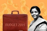 nirmala sitharaman’s budget 2019, India budget 2019, india budget 2019 list of things that got cheaper and expensive, Bamboo