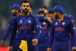 New Zealand, Afghanistan, team india out of t20 world cup, Abu dhabi