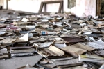 nia tony, dubai, 8 year old indian student collects 15 000kg paper waste in dubai, Paper waste