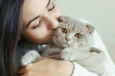 International Cat Day: Reasons Why Being a Cat Owner is good for Health
