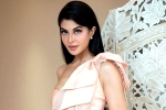 Jacqueline Fernandez films, Jacqueline Fernandez files a case, jacqueline fernandez files complaint against sukesh chandrashekhar, Money