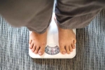 Jaggery Vs Honey news, Jaggery Vs Honey for weightloss, jaggery vs honey which is better for weightloss, Weightloss