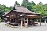 Japan Viral Mikami Shrine famous, Japan Viral Mikami Shrine breaking news, why are travellers flocking to japan s viral mikami shrine, Love