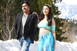 Pawan Kalyan updates, Pawan Kalyan news, katamarayudu first weekend collections, Katamarayudu