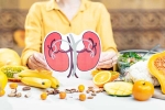 Kidneys Health India, Kidneys Health right food, how to keep your kidneys healthy, Pomegranate