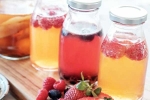 Kombucha and Fermented Foods, Kombucha and Fermented Foods health updates, health benefits of kombucha and fermented foods, Visa