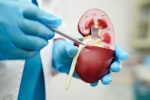 Creatinine Levels breaking updates, Creatinine Levels for kidneys, tips to lower your creatinine levels, Red meat