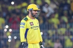 MS Dhoni news, IPL 2025, ms dhoni advised to retire from ipl, Love