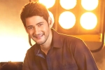 Mahesh Babu latest, Sara Ali Khan, mahesh babu getting bollywood beauty for his next, Sarileru neekevvaru