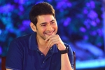 Vamshi Paidipally, Maharshi updates, mahesh follows innovative strategies for maharshi, Bharat ane nenu Vamshi Paidipally, Maharshi updates, mahesh follows innovative strategies for maharshi, Bharat ane nenu