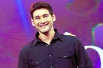 Mahesh Babu, Sarkaru Vaari Paata, bollywood beauty for mahesh babu, Bharat ane nenu Mahesh Babu, Sarkaru Vaari Paata, bollywood beauty for mahesh babu, Bharat ane nenu