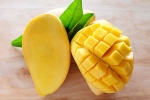 calcium carbide on fruits, chemicals in mangoes, mouth watering mangoes may contain cancer causing chemicals, Arsenic