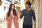 Manmadhudu 2 movie rating, Manmadhudu 2 movie review and rating, manmadhudu 2 movie review rating story cast and crew, Avanthika
