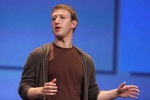 report, company, facebook investors want mark zuckerberg to resign, Midterm elections