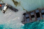 ship, oil spill, everything about mauritius oil spill and india s assistance, Eco system