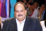 Mehul Choksi's Extradition, Mehul Choksi to India, mehul choksi s extradition india s assurance to belgium, Custody Mehul Choksi's Extradition, Mehul Choksi to India, mehul choksi s extradition india s assurance to belgium, Custody