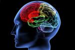 Iowa State University, Brain: Use it or lose it, brain use it or lose it, Npt
