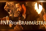NTR guest for Brahmastra, Brahmastra news, ntr turns chief guest for brahmastra event, Back pain