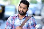 NTR Arts, NTR updates, official ntr s next film locked, Sardar gabbar singh