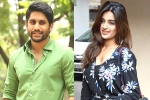 Niddhi Agerwal, Naga Chaitanya latest, chaitu to romance niddhi agerwal, Niddhi agerwal
