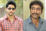 Naga Chaitanya next movie, Naga Chaitanya news, naga chaitanya to work with srinu vaitla, Mister