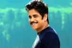 Nagarjuna and Rashmika Mandanna, Nagarjuna and Rashmika Mandanna film, nagarjuna s surprise in dhanush s film, Sekhar kammula