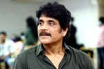 Nagarjuna periodic film, Nagarjuna periodic drama, nagarjuna in a periodic drama, The ghost