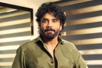 Nagarjuna Personal Rights news, Nagarjuna Personal Rights new updates, delhi high on nagarjuna s personal rights, Youtube
