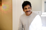 nagarjuna birthday wishes, najarjuna’s top movies, nagarjuna turns 60 5 movies of forever young star you shouldn t miss, Akkineni nageshwara rao