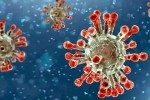 China Covid Row latest, China Covid Row news, new china coronavirus variant traced in india, International travelers