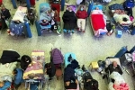 China Medical Emergency latest updates, China Medical Emergency breaking, new outbreak of viruses in china, Vaccine