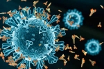 XEC Covid Variant 2024, XEC Covid Variant symptoms, new xec covid variant detected in 27 countries, Sore throat