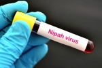 Nipah Virus - Kozhikode, Nipah Virus in Kerala, nipah virus is back again two deaths registered, Us department of state
