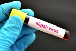 Nipah Virus first case, Nipah Virus new case, nipah virus is back again two deaths registered, Nipah virus
