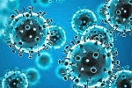 Tollywood, Telugu film updates, omicron fear for tollywood, Coronavirus india