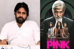 Pawan Kalyan, Pawan Kalyan next movie, powerstar in talks for pink remake, Pink remake