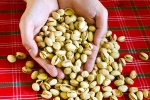 Pistachios updates, Pistachios rich in proteins, pistachios are a perfect protein snack, I love me