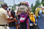 lockdown, sonu sood, plight of migrant workers baby shakes to wake up deceased mother, Todd