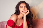 Pooja Hegde flops, Pooja Hegde upcoming movies, pooja hegde in talks for a biggie, Siddharth roy kapur