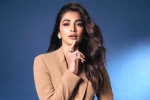 Pooja Hegde remuneration, Pooja Hegde new movies, pooja hegde lines up bollywood films, Kartik