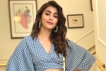 Boney Kapoor, Pink remake, pooja hegde in pink remake, Taapsee Boney Kapoor, Pink remake, pooja hegde in pink remake, Taapsee