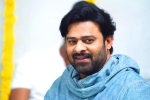 Prabhas news, Prabhas next movie, prabhas jaan delayed further, Weightloss