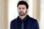 Prabhas news, Prabhas and Maruthi film, new updates of prabhas and maruthi film, Boman